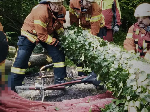 Hilfeleistung: Person unter Baum eingeklemmt