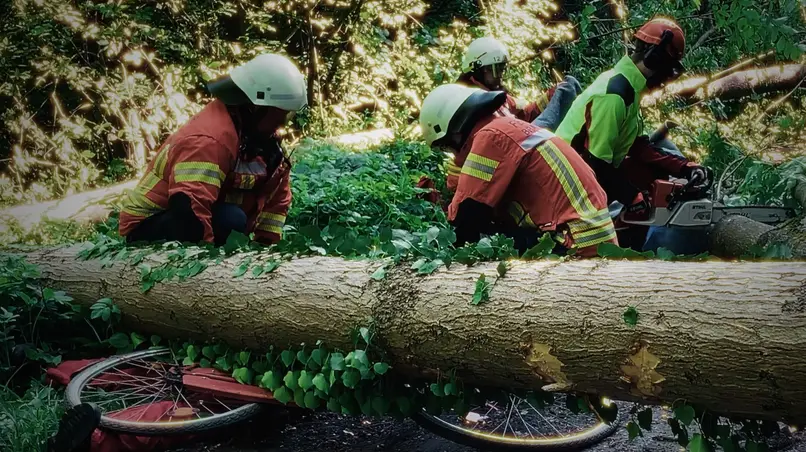 Hilfeleistung: Person unter Baum eingeklemmt