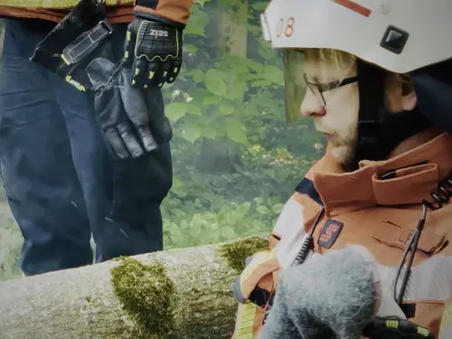 Hilfeleistung: Person unter Baum eingeklemmt