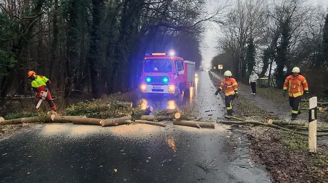 Hilfeleistung : Baum auf Straße
