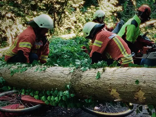 Hilfeleistung: Person unter Baum eingeklemmt